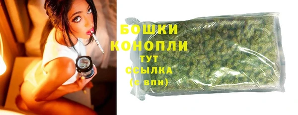 ешки Богданович