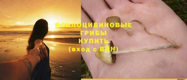 стаф Богородск