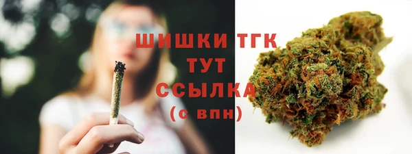 ешки Богданович