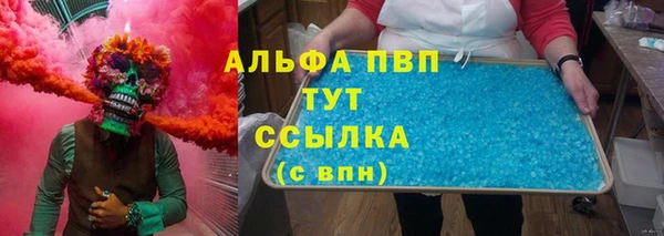 ешки Богданович